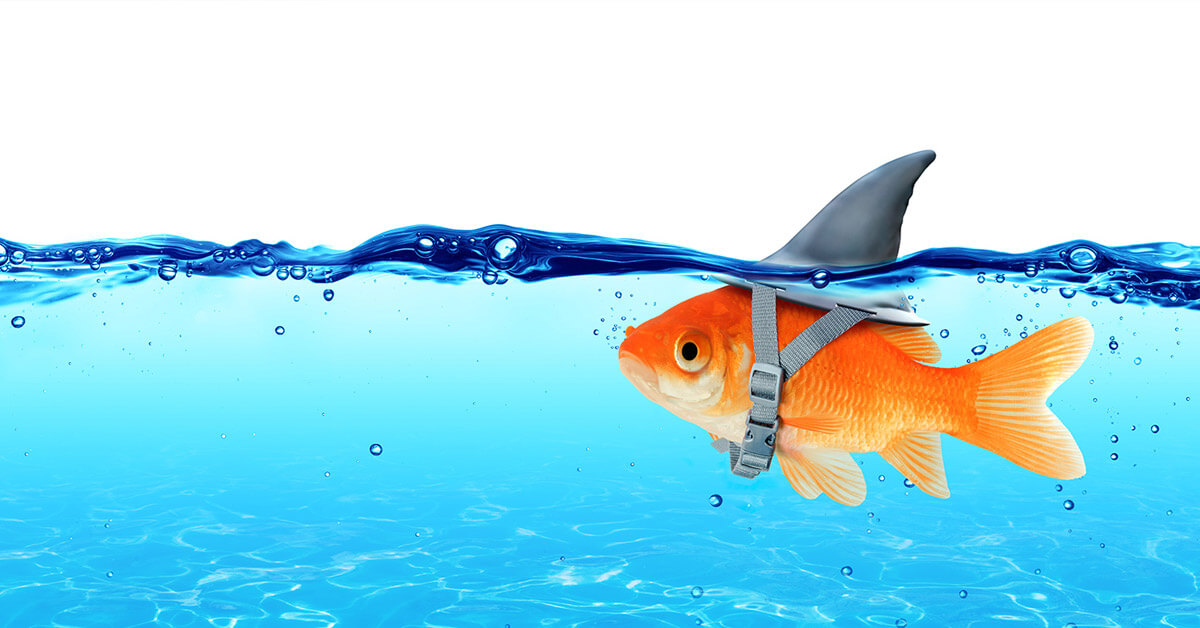 7. Guiding Principle: Lying and Deception Can Be Seen 7. Guiding Principle: Lying and Deception Can Be Seen