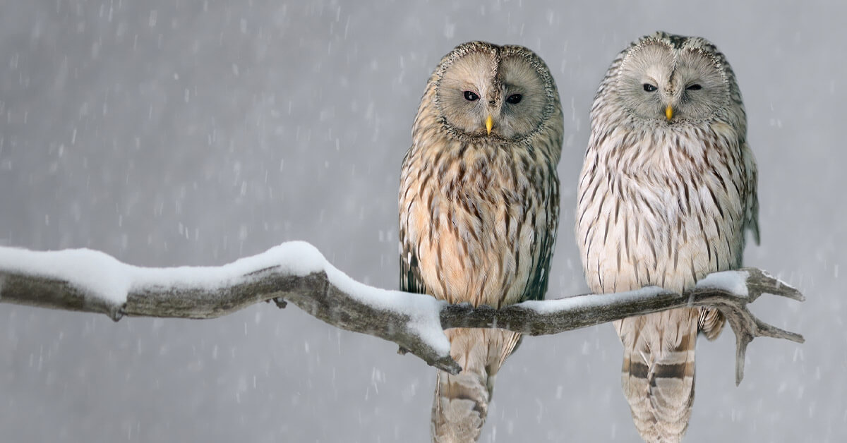 8. Guiding Principle: Like Attracts Like 8. Guiding Principle: Like Attracts Like